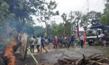 Hujan Deras di Tulungagung Akibatkan Pohon Tumbang dan Banjir