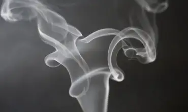Polusi Udara Ada Kaitannya dengan Tembakau, Benarkah Demikian?