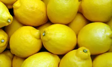Manfaat Lemon sebagai Bahan Alami untuk Perawatan Rambut, Cewek Wajib Banget Tahu