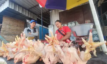 Harga Daging Ayam Mahal, Pembelian di Pasar Tradisional Tulungagung Turun