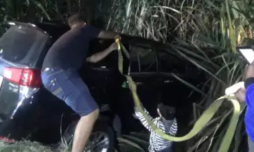 Diduga Pengemudi Mengantuk,  Sebuah Mobil Terjun ke Kebun Tebu di Jombang