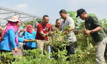 Resmikan Kawasan Kampung Tani Jamsaren, Wali Kota Kediri: Cocok Untuk Wisata Edukasi Urban Farming bagi Masyarakat