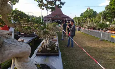 Grebeg Bonsai Ponorogo, Pamerkan Pohon Kerdil Berusia Ratusan Tahun