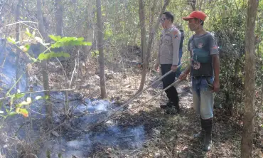 Dua Setengah Hektare Hutan di Ponorogo Terbakar, Diduga Api Muncul dari Putung Rokok