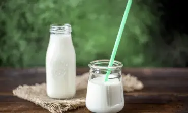 Yoghurt sebagai Sumber Protein yang Sehat, Cocok untuk Vegetarian!