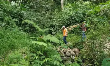 Tak Hanya Juara Tiga CHSE ADWI 2023, Desa Wisata Durensari Trenggalek Juga Pecahan Rekor Muri Hutan Durian Terluas