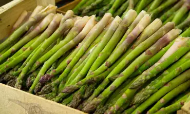 6 Manfaat Asparagus dalam Mengatasi Masalah Pernapasan, Kandungan Ini Bisa Redakan Asma Lho