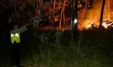 Lahan Hutan Milik Perhutani Tulungagung Terbakar, Polisi Selidiki Penyebabnya