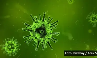 Heboh! Virus Nipah Menyebar di India dengan Ganas, Perlukah Kita Khawatir?