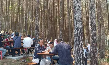 Hutan Pinus Gogoniti Kabupaten Blitar, Dijamin Bikin Tenang dan Adem