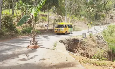 Kesal Tak Kunjung Diperbaiki, Warga di Kecamatan Pule Trenggalek Tanam Pohon Pisang di Jalan Rusak
