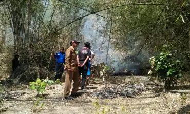 Kebakaran Melanda Gunung Budeg Tulungagung, 7 Hektare Lahan Dilalap Api