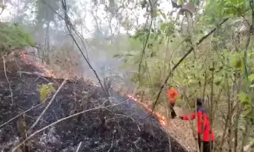 Lagi, Hutan di Trenggalek Terbakar, Totalnya Jadi Sepuluh Desa Terdampak