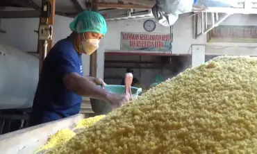 Beras Mahal, Nasi Ampok Jagung Instan Jadi Makanan Alternatif Pengganti di Kabupaten Jombang