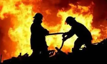 Kebakaran Hutan dan Lahan di Trenggalek, Dalam Sehari Muncul Dua Titik Api