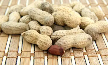 10 Daftar Asupan Nutrisi dari Kacang untuk Dukung Kesehatan yang Optimal