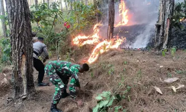 Lahan Seluas 1,5 Hektar di Gunung Putan Trenggalek Terbakar, Sempat Ancam Pemukiman Warga