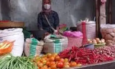 Petani Mengeluh, Harga Sayur Tomat Turun Rp 1.500 Perkilogram
