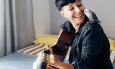15 Cara Melatih Burung Lovebird agar Pandai Bicara, Emang Bisa?!!