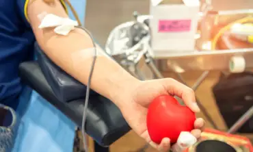 Donor Darah dan Kesehatan Jantung, Apakah Kedua Hal Ini Saling Berkaitan?