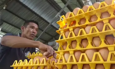 Jelang Nataru, Harga Telur di Kabupaten Jombang Marangkat Naik