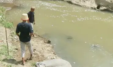 Sungai Keyang dan Wisata Air Terjun Pletuk Ponorogo Tercemar, Diduga Akibat Limbah Sapi
