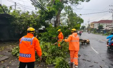 Hujan Deras dan Angin Kencang, BPBD Tulungagung Catat Lima Kecamatan Terdampak
