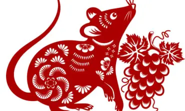 Tantangan dan Kesempatan Bagi Shio Tikus di Tahun Naga Kayu 2024, Navigasi Perjalanan Hidup dengan Bijak