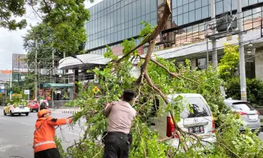 Angin Bertiup Kencang di Kota Kediri, Satu Mobil Tertimpa Pohon