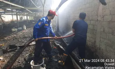 Gegara Oven Kandang Ayam di Kediri Terbakar, Rugi Ratusan Juta Rupiah