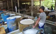 Harga Kedelai Naik Terus, Produsen Tahu di Jombang Mengeluh
