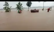 Banjir Sutojayan, Warga Mulai Mengungsi dan Selamatkan Ternak Sapi 