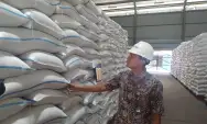 Surplus 1.100 Ton, Bulog Jamin Ketersediaan Beras hingga Tahun Depan