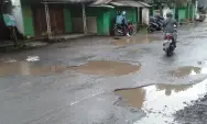 Jadi Penyumbang PAD Terbesar, Tapi Jalan di Wilayah Malang Ini Dibiarkan Rusak Parah