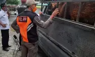 PMK Kembali Serang Sapi di Kabupaten Kediri, Pasar Hewan Belum Ditutup
