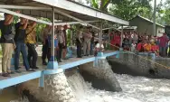 Bocah 6 Tahun Hilang, Diduga Tenggelam di Sungai Desa Tunggorono Jombang