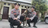 Kisah Pawang K9 Polres Kediri, Bermodal Berani dan Cinta Anjing, Terbang ke Bali, Ikut Pengamanan KTT G20 Indonesia