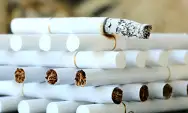 NGERI! Inilah Penggunaan Tembakau yang Berkepanjangan Akibat Merokok
