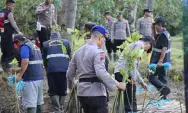 Mencegah Banjir Rob, Ribuan Mangrove Ditanam