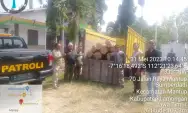 Polsek Mantup Kabupaten Lamongan Amankan Truk Pengangkut Kayu Jati Ilegal