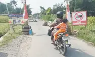 Protes Jalan Berlubang, Warga Desa Banggle Blitar Tanam Pohon Pisang dan Pasang Bendera