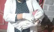 Warga Kediri Temukan Bayi Baru Lahir di Belakang Rumah