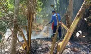 Bakar Sampah, Api Merembet ke Hutan Desa Wonocolo  Trenggalek