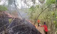 Kebakaran Hutan Terjadi Lagi di Trenggalek Terbakar, Totalnya Jadi Sepuluh Desa Terdampak