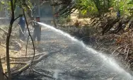 Niat Bakar Sampah, Api Merembet di Lahan Warga Ponorogo