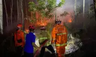 Kemarau, Karhutla Melanda 32 Titik di Kabupaten Trenggalek, Ini Luas Lahan Terbakar