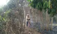 Gara-gara Sampah, Lahan Kosong Warga Desa Krenceng Kabupaten Kediri Terbakar
