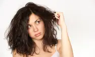 12 Tips Mengatasi Rambut Kering, Cara Mudah Memiliki Rambut Sehat dan Bersinar