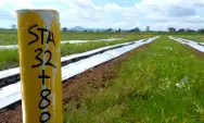 Sawah Produktif 21 Hektare di Kabupaten Tulungagung Terdampak Tol Kediri-Tulungagung