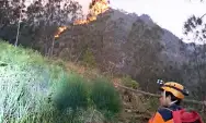 Lereng Gunung Panderman Terbakar, Ini Kata BPBD Kota Batu